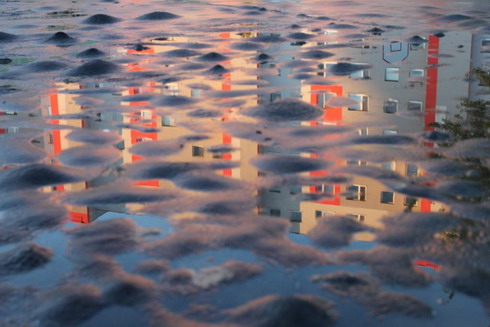 Na ihriská z asfaltu sa viažu už iba spomienky (Peter Štefanec  |  sme.sk)